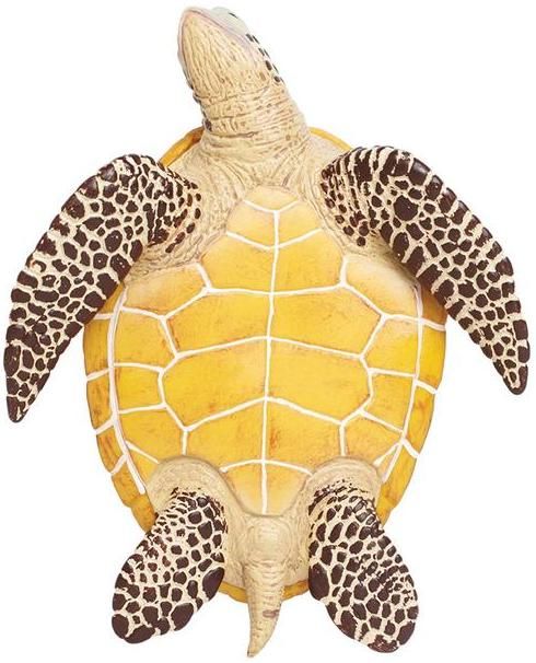 Realistic Rubber Small Sea Turtle – Dapper Cadaver Props