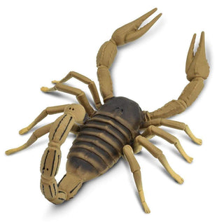 Realistic Rubber Scorpion Prop – Dapper Cadaver Props