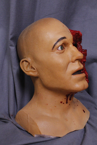 Shotgun Blasted Henry Head