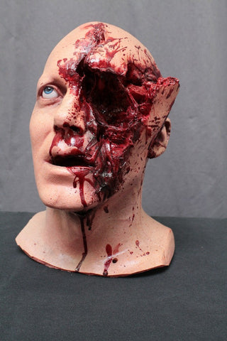 Shotgun Blasted Henry Head