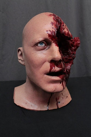 Shotgun Blasted Henry Head