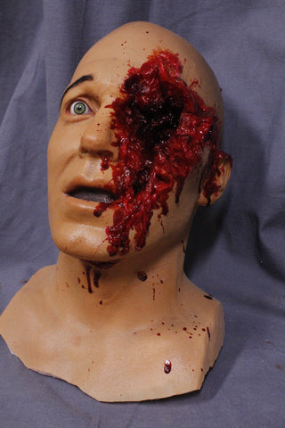 Shotgun Blasted Henry Head