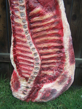 Side of Beef Flatback Pair