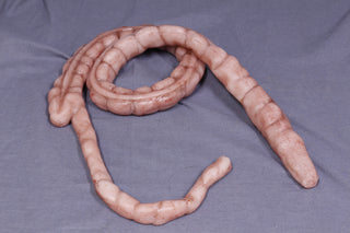 Silicone Large Intestine