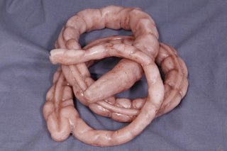 Silicone Large Intestine