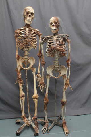 Skin and Bones Male Skeleton