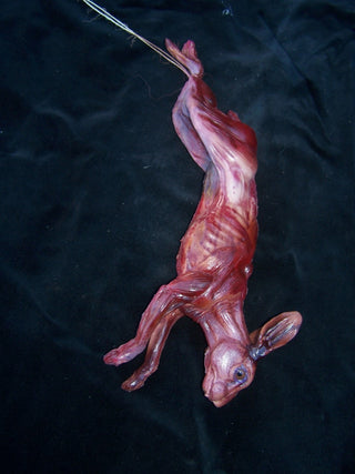 Skinned Rabbit