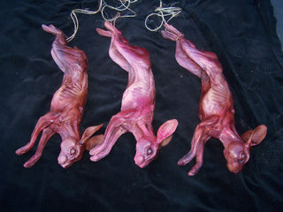 Set of 3 Skinned Rabbits