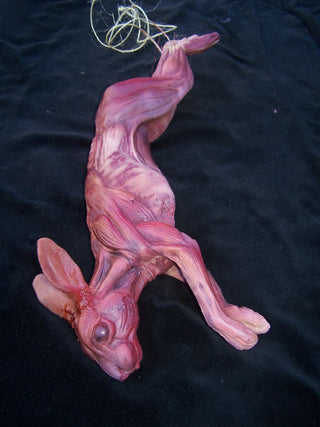 Skinned Rabbit