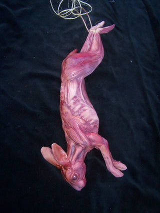 Skinned Rabbit