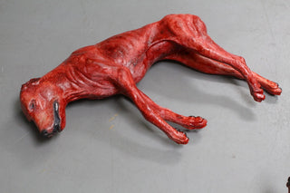 Skinned Rocky Dog