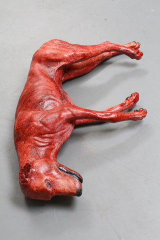 Skinned Rocky Dog