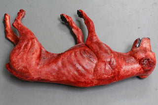 Skinned Rocky Dog