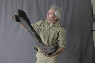 Stunt Dinosaur Femur Rental