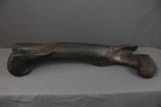Stunt Dinosaur Femur Rental