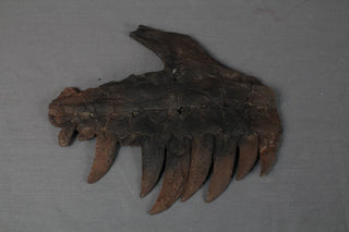 Stunt Dinosaur Skull Fragment Rental