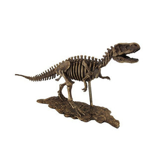 Tyrannosaurus Rex Skeleton Model