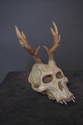 Wendigo Skull