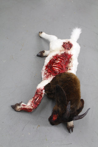 Wounded Boer Goat Prop - Special Order