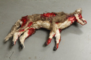 Wounded Coyote Prop