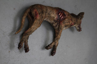 Wounded Brown Dog Prop