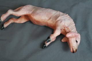 Skinned Yearling Lamb