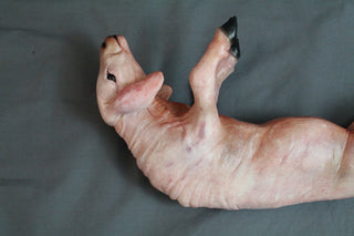 Skinned Yearling Lamb